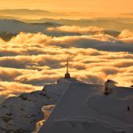 nature-983663_1280 (1)